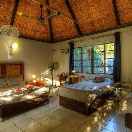 Okavango River Lodge Maun Bagian luar foto