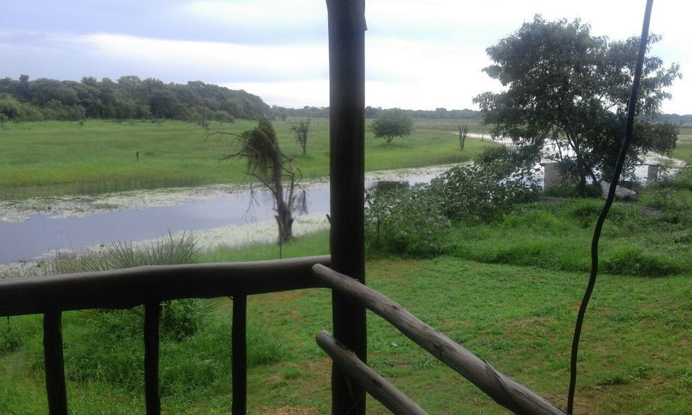 Okavango River Lodge Maun Bagian luar foto