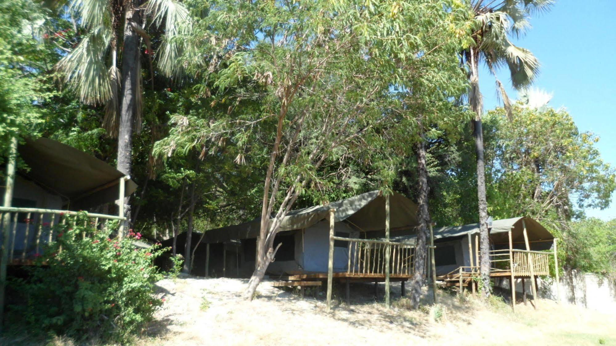 Okavango River Lodge Maun Bagian luar foto